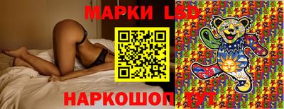 крисы Новозыбков