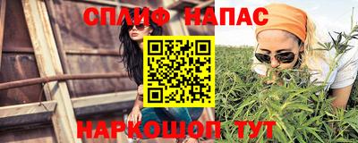 крисы Новозыбков