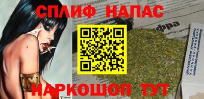 крисы Новозыбков