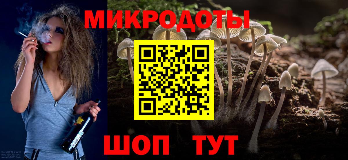 Галлюциногенные грибы Psilocybine cubensis Севастополь
