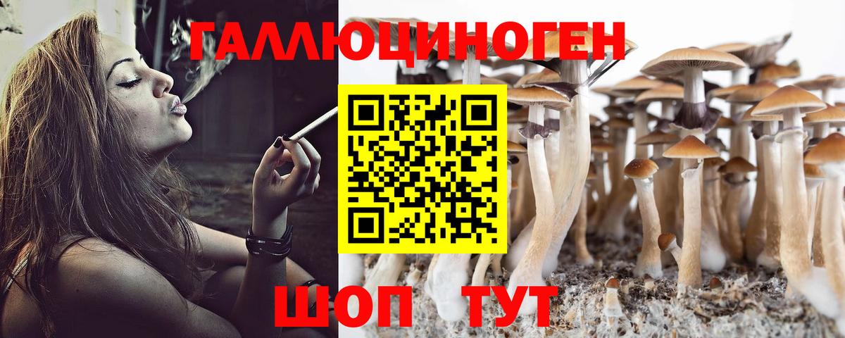 Севастополь  Галлюциногенные грибы Psilocybe  Галлюциногенные грибы MAGIC MUSHROOMS  Вход с VPN 